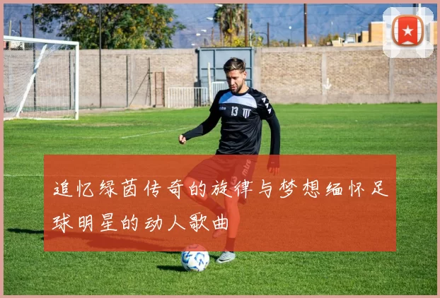 追忆绿茵传奇的旋律与梦想缅怀足球明星的动人歌曲