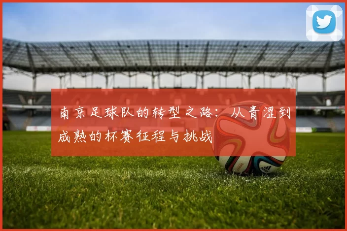 南京足球队的转型之路：从青涩到成熟的杯赛征程与挑战
