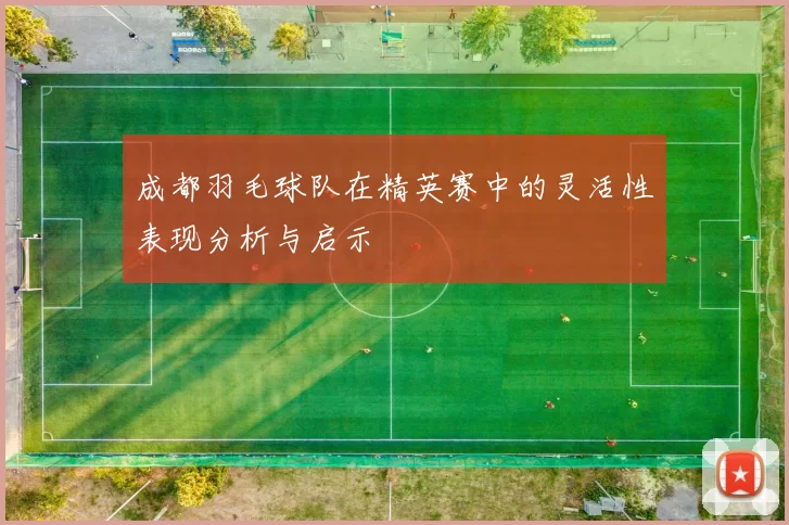 成都羽毛球队在精英赛中的灵活性表现分析与启示