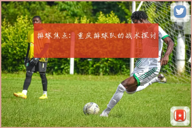 排球焦点：重庆排球队的战术探讨