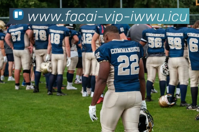 开云体育APP 封面图